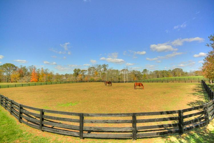 Bluegrass Country Estate Bed and Breakfast La Grange Exterior foto